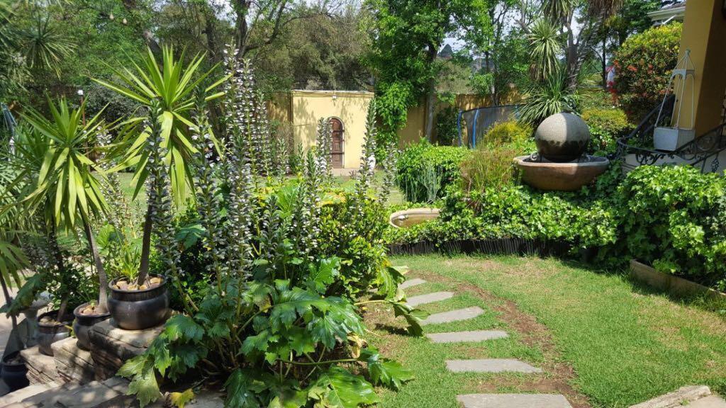 Villa Mikamora Johannesburg Eksteriør bilde