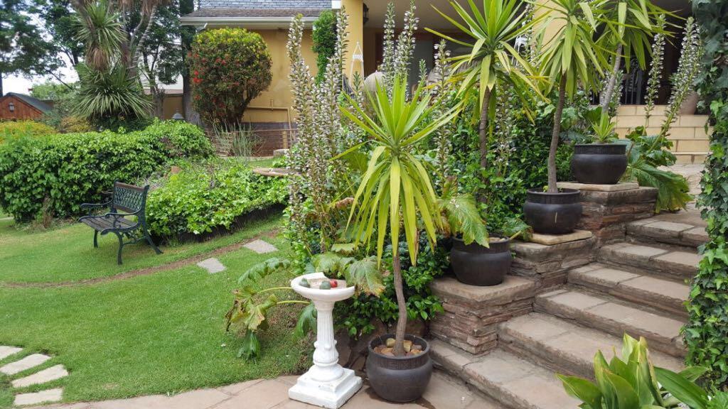Villa Mikamora Johannesburg Eksteriør bilde